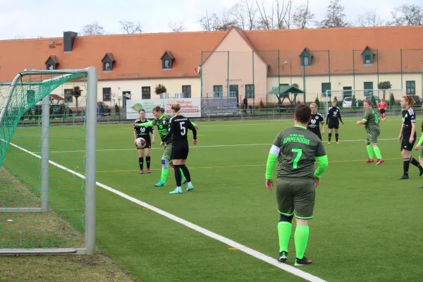 Frauen gegen Sandersdorf II