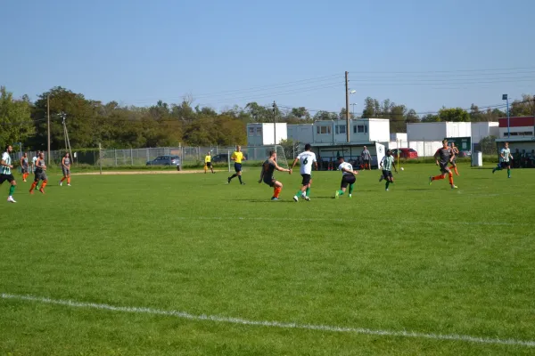Pokalspiel 1. Herren 10.09.2023