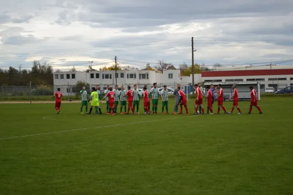 1. Herren vs. KineEm Halle 2. am 29.10.2023