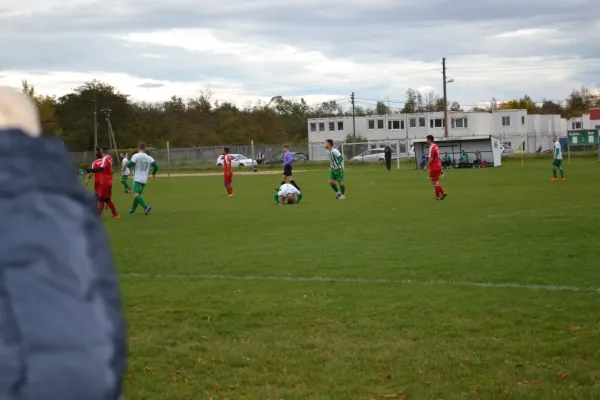 1. Herren vs. KineEm Halle 2. am 29.10.2023