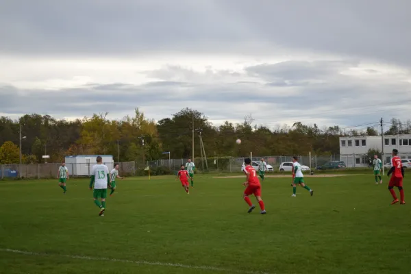 1. Herren vs. KineEm Halle 2. am 29.10.2023
