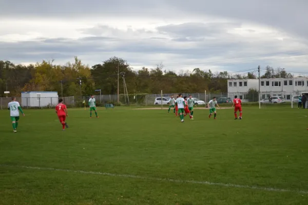 1. Herren vs. KineEm Halle 2. am 29.10.2023