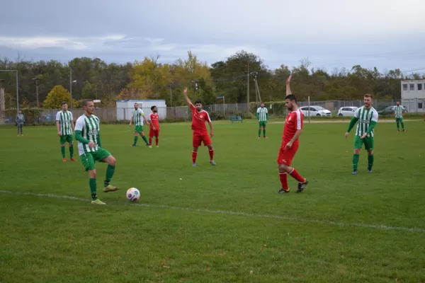 1. Herren vs. KineEm Halle 2. am 29.10.2023