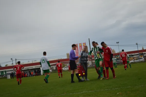 1. Herren vs. KineEm Halle 2. am 29.10.2023