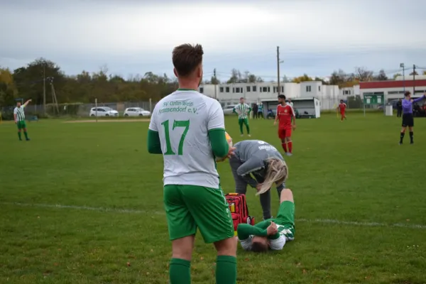1. Herren vs. KineEm Halle 2. am 29.10.2023