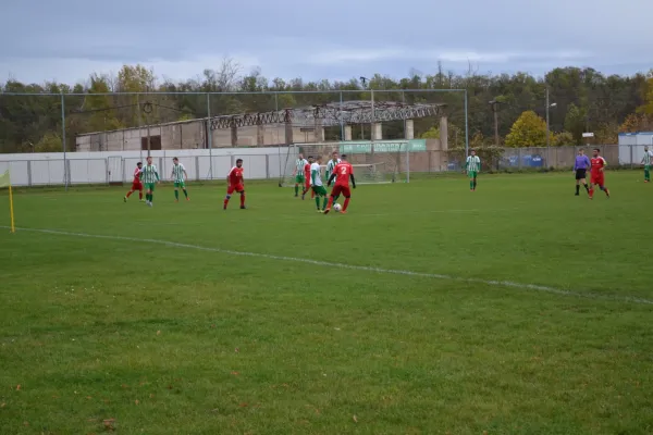 1. Herren vs. KineEm Halle 2. am 29.10.2023