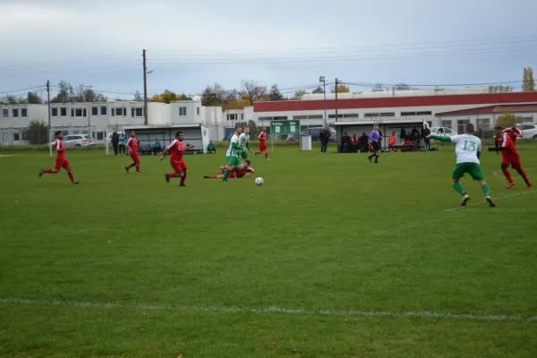 1. Herren vs. KineEm Halle 2. am 29.10.2023
