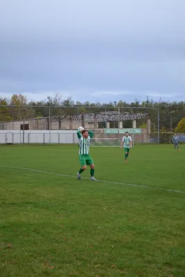 1. Herren vs. KineEm Halle 2. am 29.10.2023