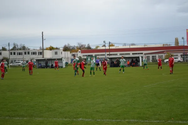 1. Herren vs. KineEm Halle 2. am 29.10.2023