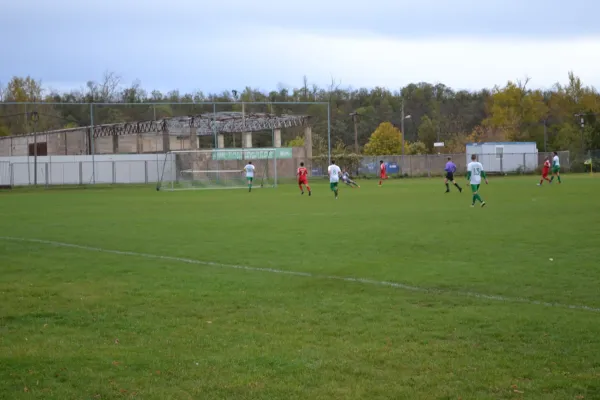 1. Herren vs. KineEm Halle 2. am 29.10.2023