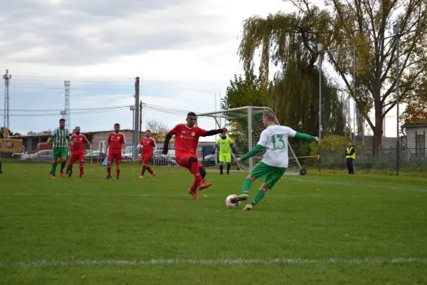 1. Herren vs. KineEm Halle 2. am 29.10.2023