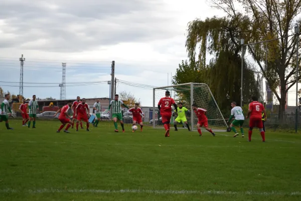 1. Herren vs. KineEm Halle 2. am 29.10.2023