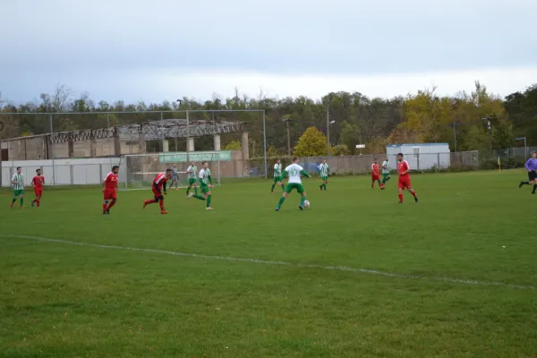 1. Herren vs. KineEm Halle 2. am 29.10.2023