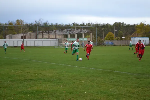 1. Herren vs. KineEm Halle 2. am 29.10.2023