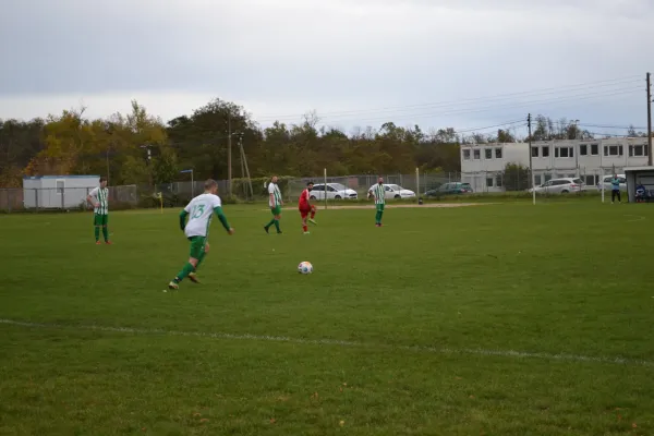 1. Herren vs. KineEm Halle 2. am 29.10.2023