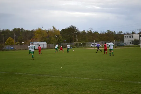 1. Herren vs. KineEm Halle 2. am 29.10.2023