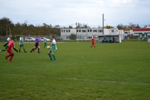 1. Herren vs. KineEm Halle 2. am 29.10.2023