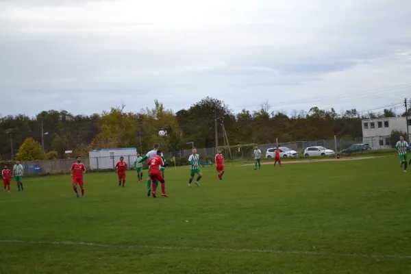 1. Herren vs. KineEm Halle 2. am 29.10.2023