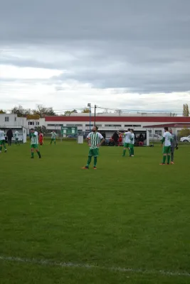 1. Herren vs. KineEm Halle 2. am 29.10.2023