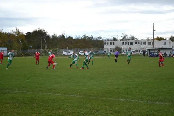 1. Herren vs. KineEm Halle 2. am 29.10.2023