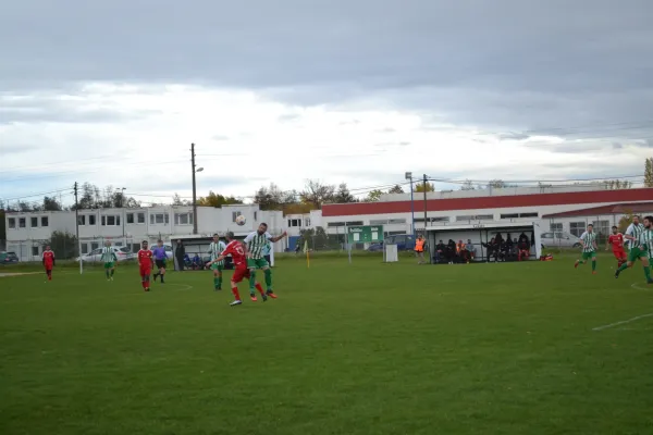 1. Herren vs. KineEm Halle 2. am 29.10.2023
