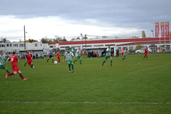 1. Herren vs. KineEm Halle 2. am 29.10.2023