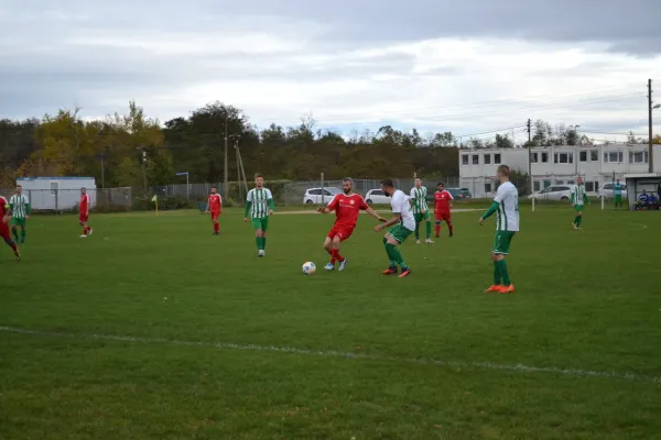 1. Herren vs. KineEm Halle 2. am 29.10.2023