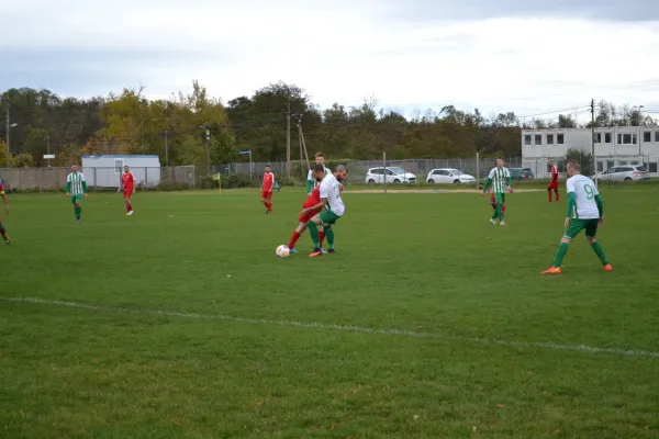 1. Herren vs. KineEm Halle 2. am 29.10.2023