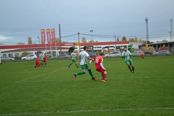 1. Herren vs. KineEm Halle 2. am 29.10.2023