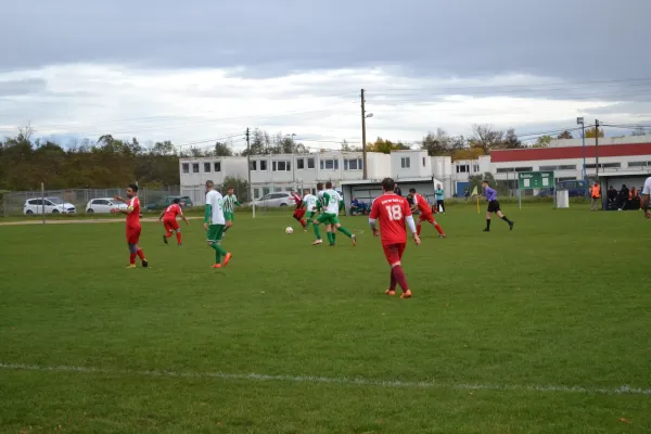 1. Herren vs. KineEm Halle 2. am 29.10.2023