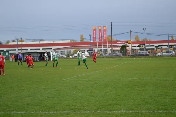 1. Herren vs. KineEm Halle 2. am 29.10.2023