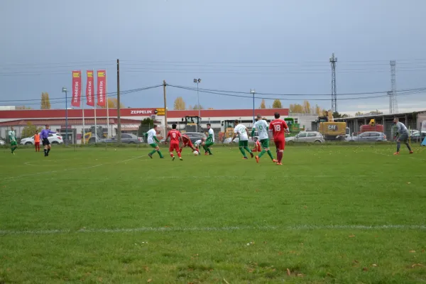 1. Herren vs. KineEm Halle 2. am 29.10.2023