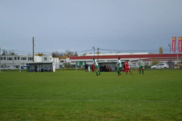 1. Herren vs. KineEm Halle 2. am 29.10.2023