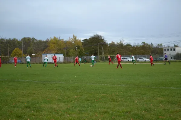 1. Herren vs. KineEm Halle 2. am 29.10.2023