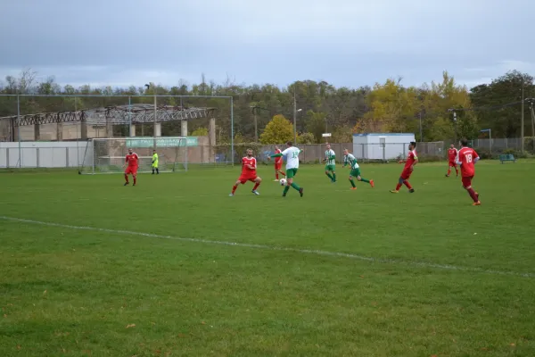 1. Herren vs. KineEm Halle 2. am 29.10.2023