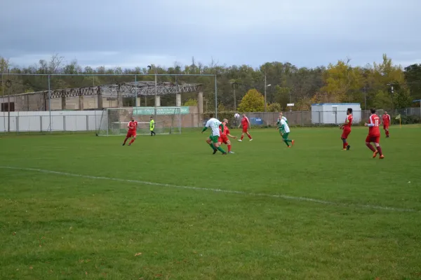 1. Herren vs. KineEm Halle 2. am 29.10.2023