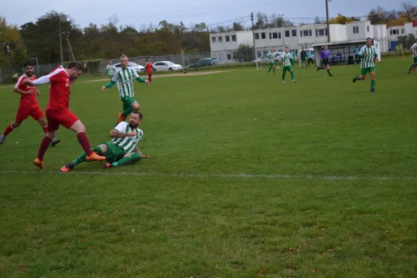 1. Herren vs. KineEm Halle 2. am 29.10.2023