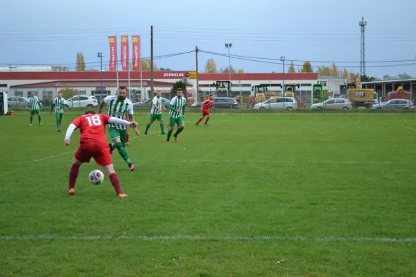 1. Herren vs. KineEm Halle 2. am 29.10.2023