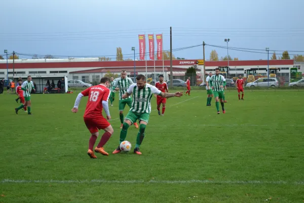 1. Herren vs. KineEm Halle 2. am 29.10.2023