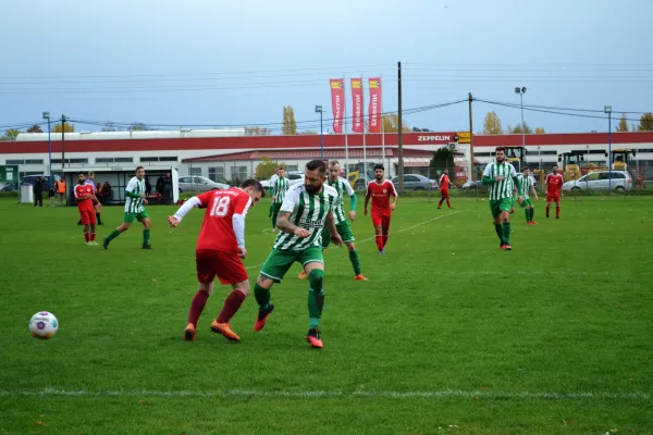 1. Herren vs. KineEm Halle 2. am 29.10.2023