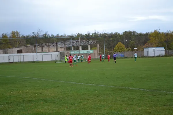 1. Herren vs. KineEm Halle 2. am 29.10.2023