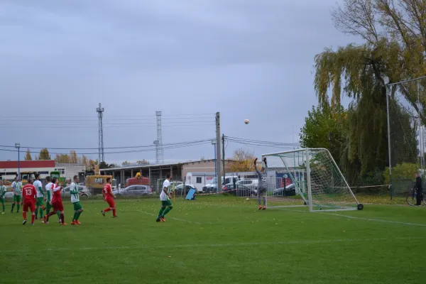 1. Herren vs. KineEm Halle 2. am 29.10.2023