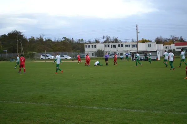 1. Herren vs. KineEm Halle 2. am 29.10.2023
