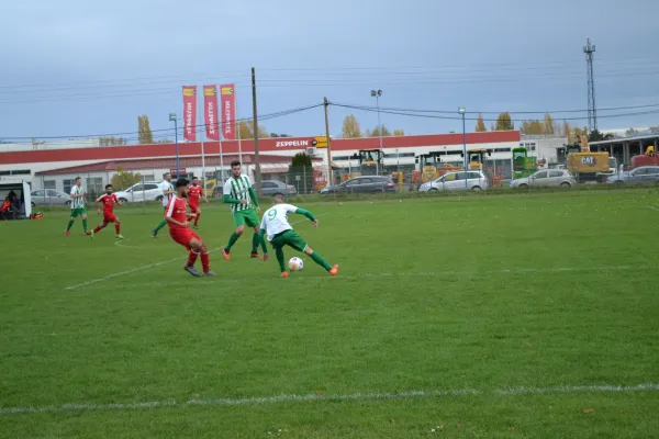 1. Herren vs. KineEm Halle 2. am 29.10.2023
