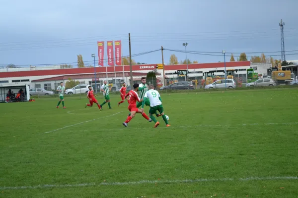 1. Herren vs. KineEm Halle 2. am 29.10.2023