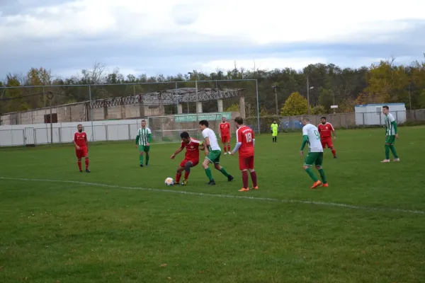 1. Herren vs. KineEm Halle 2. am 29.10.2023