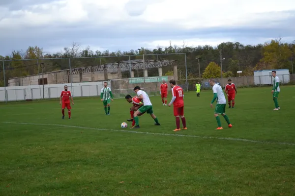 1. Herren vs. KineEm Halle 2. am 29.10.2023
