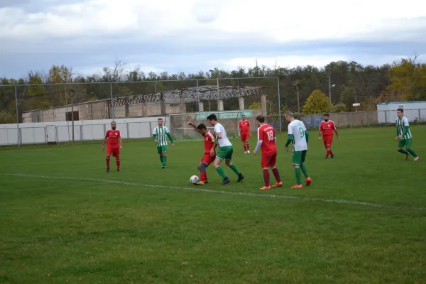 1. Herren vs. KineEm Halle 2. am 29.10.2023