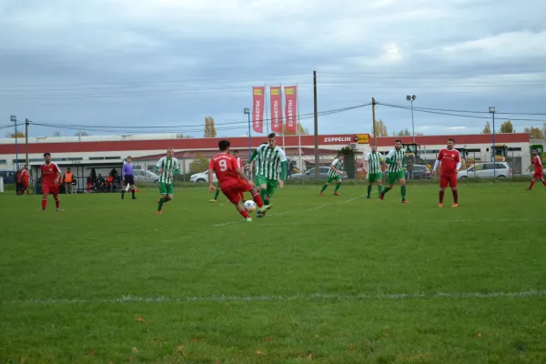 1. Herren vs. KineEm Halle 2. am 29.10.2023