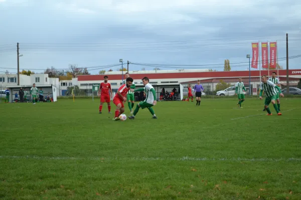 1. Herren vs. KineEm Halle 2. am 29.10.2023